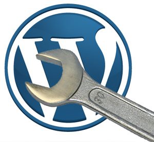 Install WordPress With Free Hosting using custom domain Install WordPress With Free Hosting using custom domain