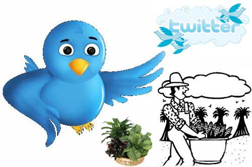 Twitter-Building-Gardening-Knowledge Twitter Building Gardening Knowledge