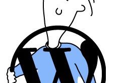 sRemote DBA Experts tips for all the WordPress developers